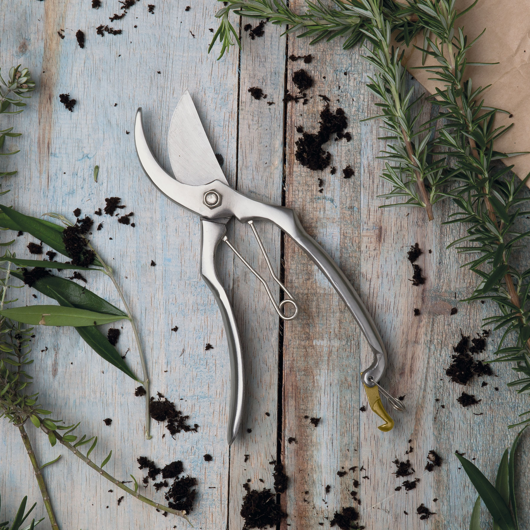 nature-secateurs-lifestyle Lifestyle
